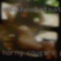 Horny cougars Pittsburgh